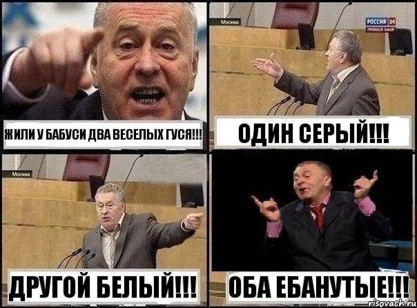 Эти гуси..