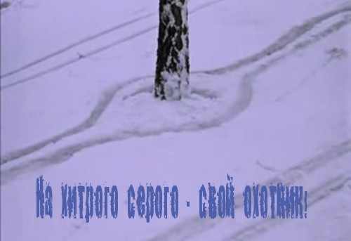 Исчезающая собака