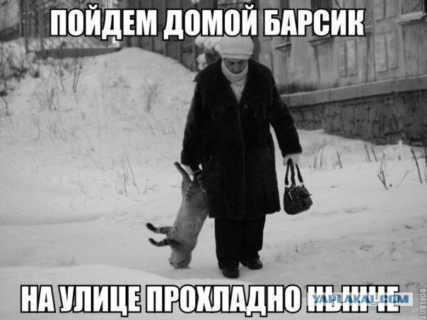 Вот Вам юмор