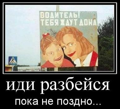 Забавные картинки из Сети