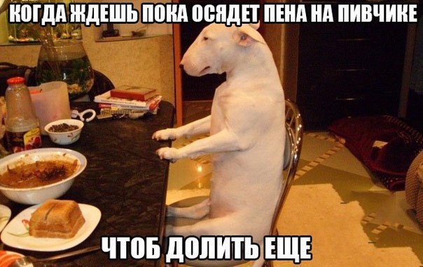 Подборка картинок