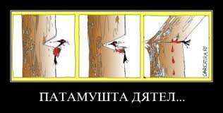 Тонировка? Я не сдамся без боя!