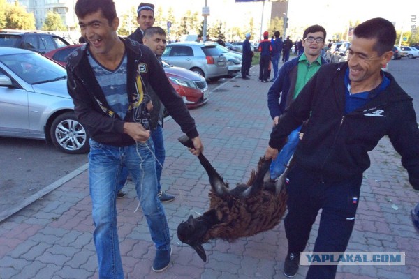 Праздник жертвоприношения в Москве