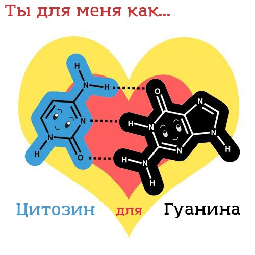 Картинки смешные и не очень