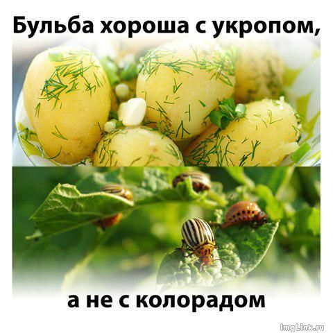Лукашенко: Сегодня за независимость воюет наша братская Украина.