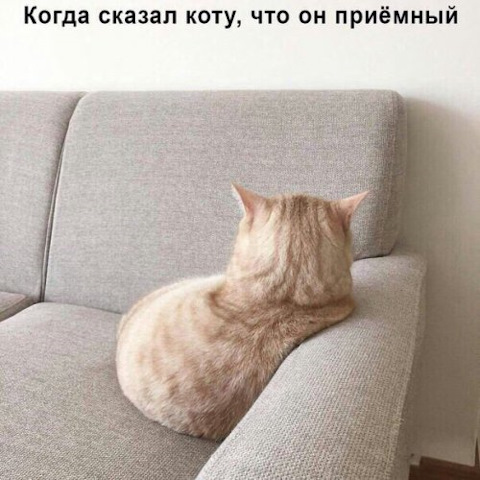 Просто картинки с сети