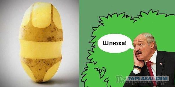 Голые стриптизерши устроили драку в раздевалке 18+
