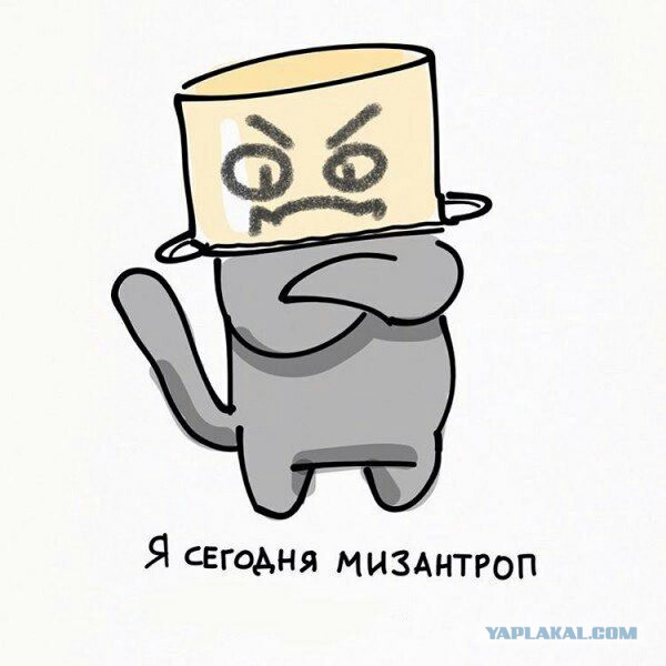 Люди, которых поймут интроверты