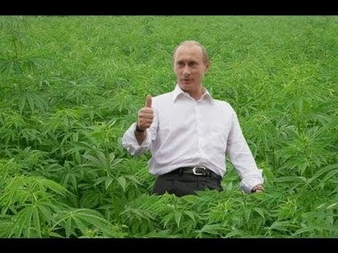 В правительстве решили платить по миллиону за переезд на Дальний Восток