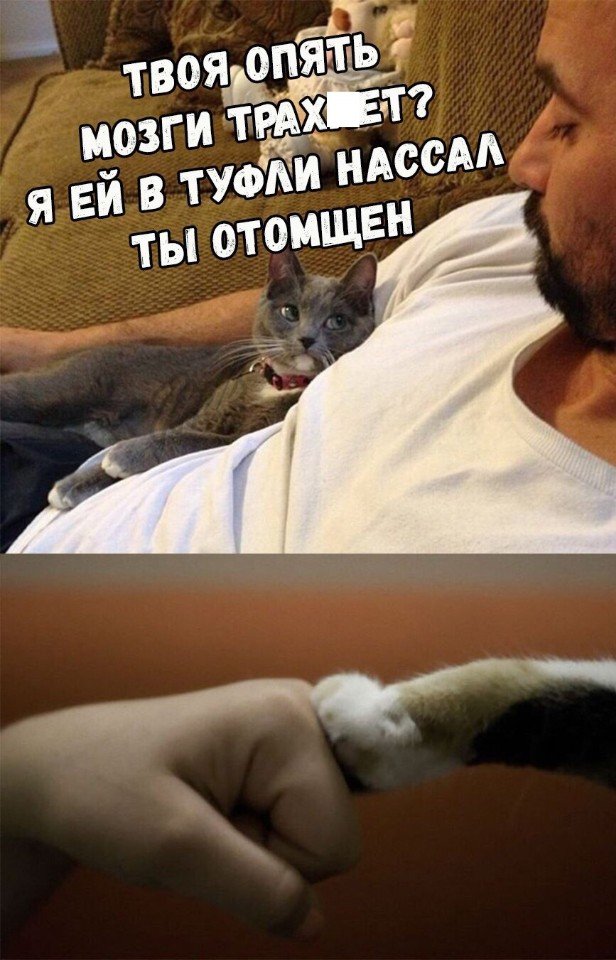 Нестандартный юмор