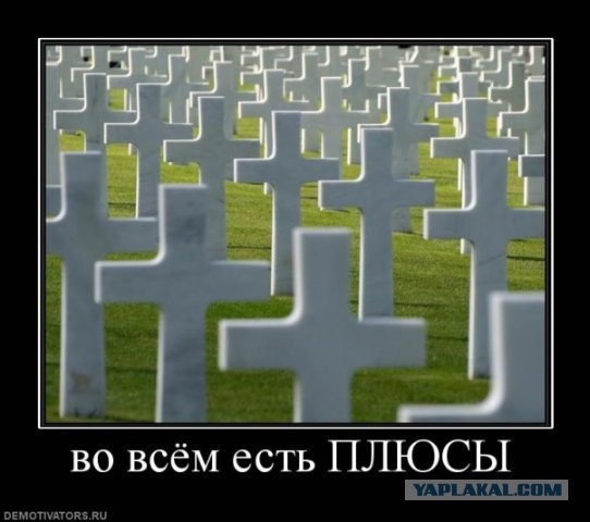 Ко-ко-ко, помеха слева.