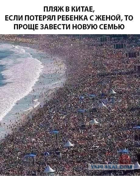 Чудики из социальных сетей