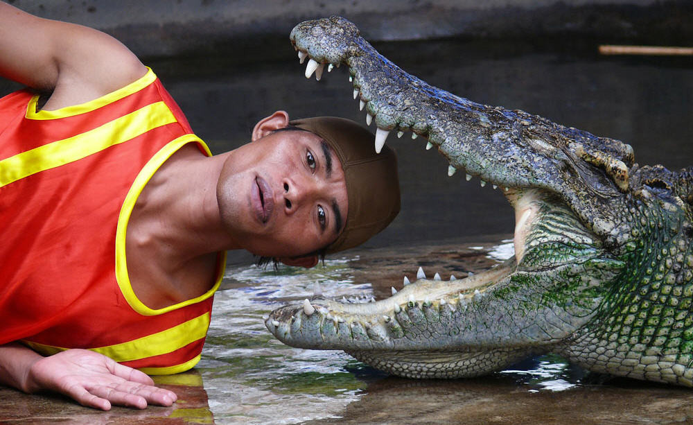 Включи видео самых опасных. Самые страшные крокодилы. КРАКАДИЛ.
