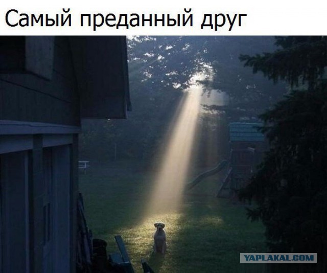 Немного интересных и добрых картинок на вечер