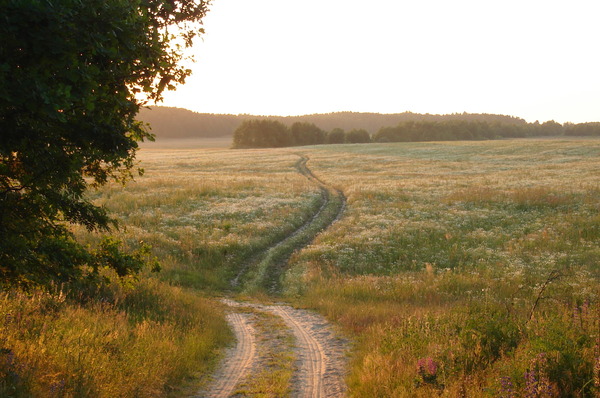Красота сельских дорог