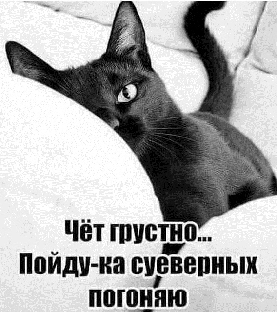Подборка интересных и веселых картинок 17.03.19