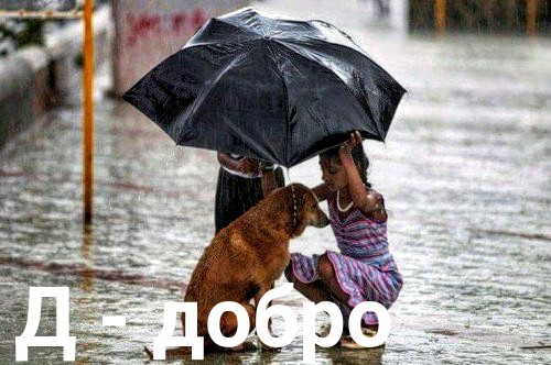 Фотоинтересности