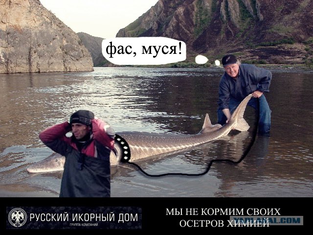 Конкурс на лучшую фотожабу против браконьеров.