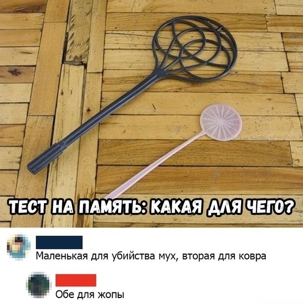 Применим физику в постели или белка и стрелка. Картинки