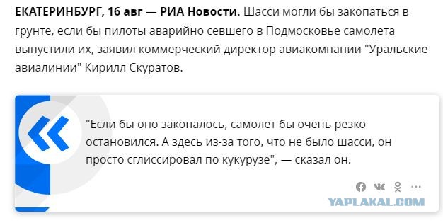 Посадившие самолет на кукурузное поле пилоты стали Героями России