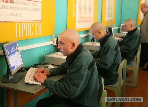 В Польше ищут туалетного маньяка