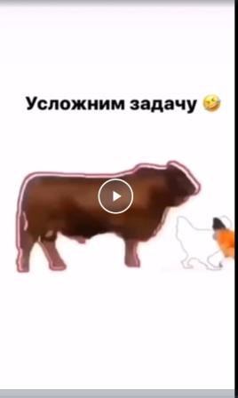 Усложним задачу по ловле курицы