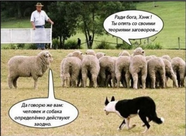 Просто смешные коментарии к обращению Путина из соцсетей