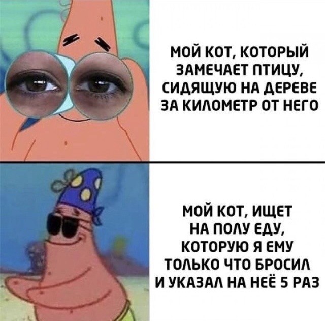 Так себе картинки 7