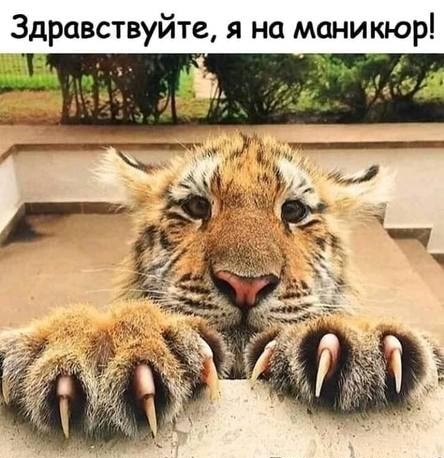 Так себе картинки 22.05.20