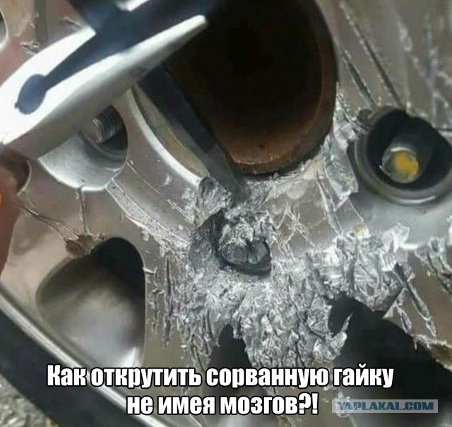 Так себе картинки 27.07.20