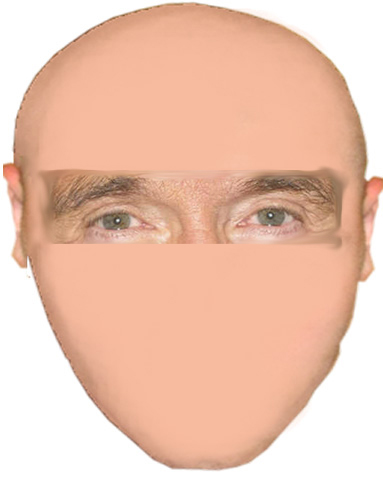 Создаем знаменитое лицо