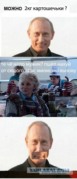 Шевчук и Путин (5 комиксов)