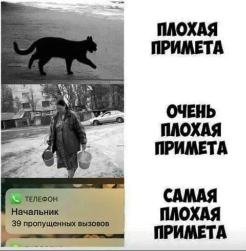 Немного картинок для настроения 03.11.20