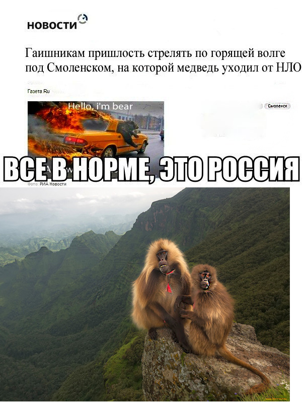 Драка на первенстве России в Смоленске