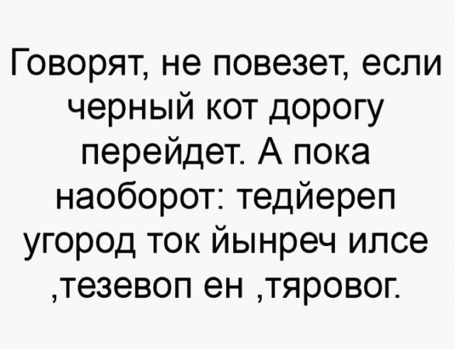 Весёлый полтишок 26.02