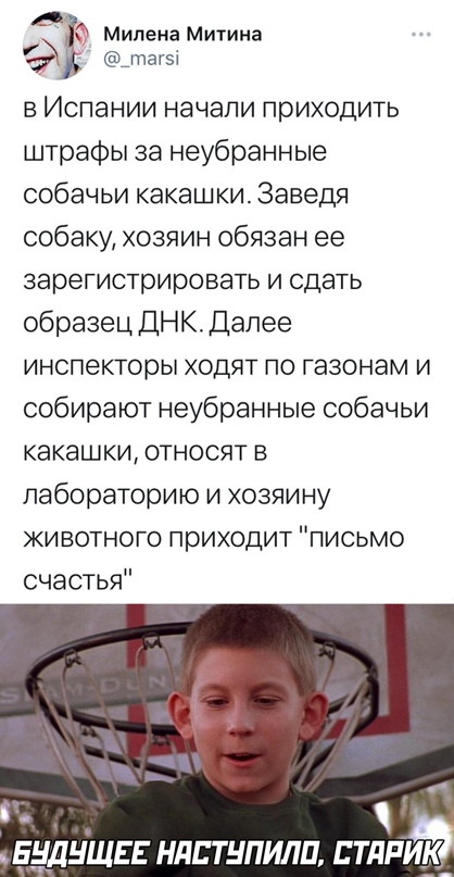 Весёлый полтишок 10.03