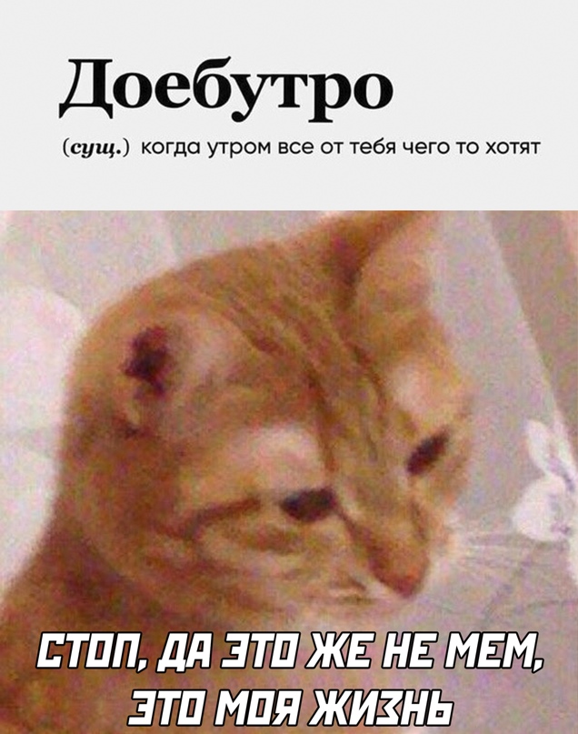 Весёлый полтишок 26.03