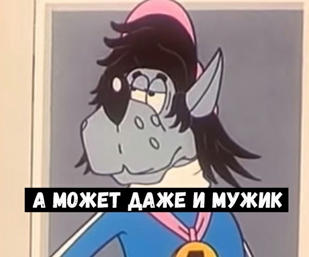 15404189.jpg