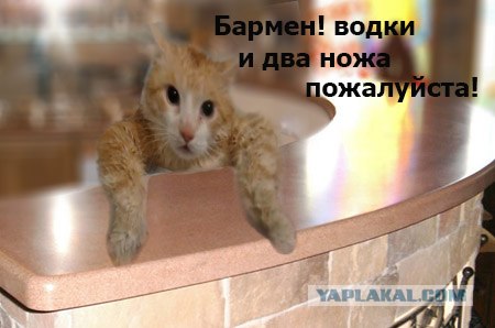 Тима, давай!