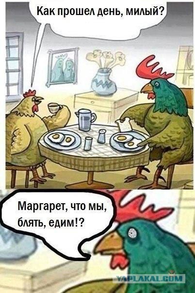 Пятница. И немного слегка пошлых картинок с надписями и без 16+ (21.05))