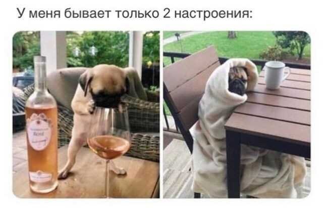 Баяны бабыЯны