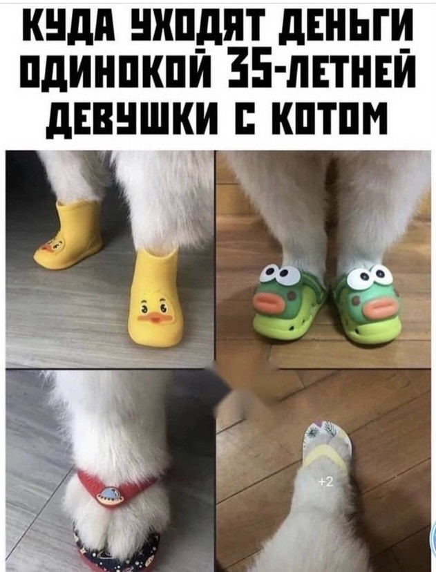 Картинки и мемы для настроения 13.12.2021