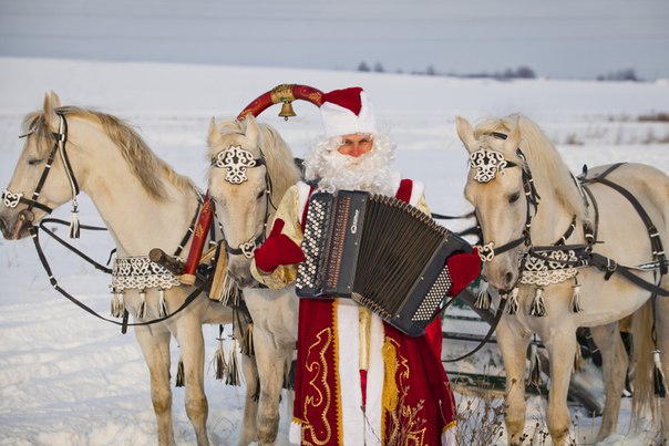 А ты настоящий Дед Мороз?