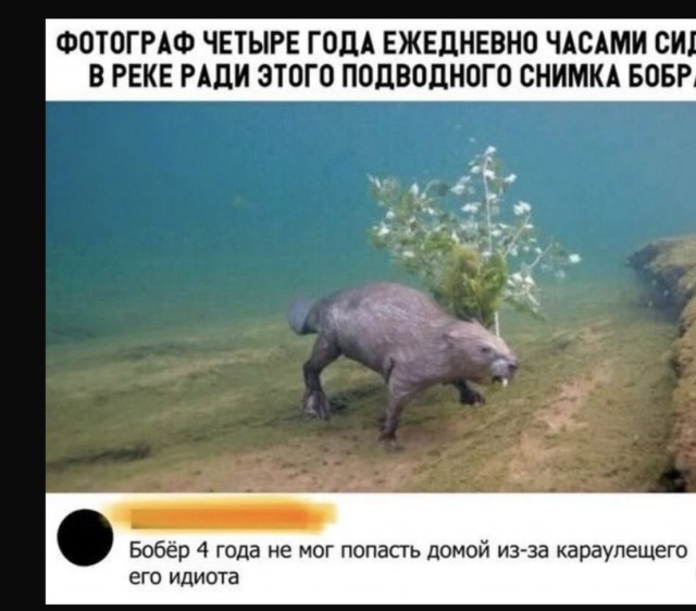 Так себе картинки 03.02.22