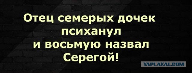50 оттенков серого Vol.5 . Или самосвал баянов