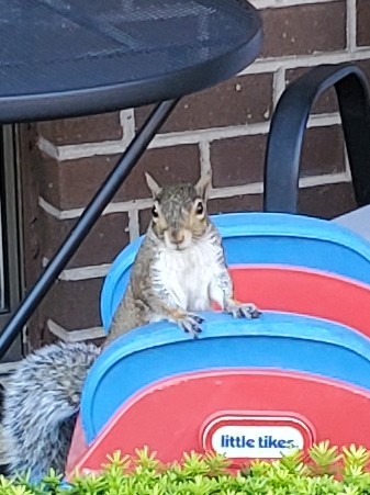 Алкопост 9.09.22