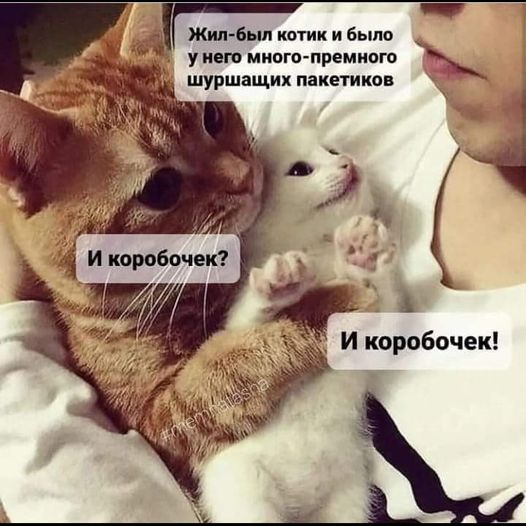 Немного картинок для настроения - 129