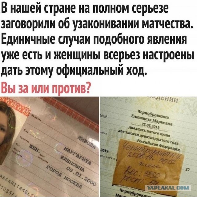 Так себе картинки 01.10.22