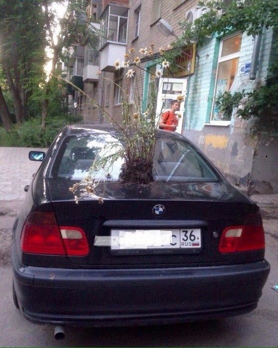 Примеры беспощадной и доходчивой мести за неправильную парковку