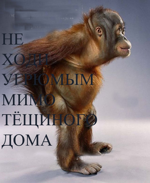 Философия себя